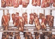 «Мясопродукты» в 2014 году увеличили выпуск продукции на 20 тонн