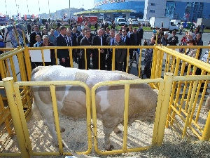 На «Агро-2014» в Челябинске участвуют более 100 ведущих предприятий