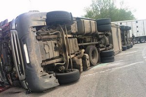 В Белгородской области перевернулась фура со 170-ю свиньями