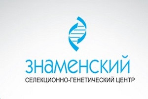 СГЦ «Знаменский» реализует инвестпроект стоимостью 7 миллиардов рублей