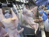 Российская курятина должна экспортироваться в Восточную Азию и на Ближний Восток