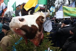 Под зданием Верховной рады Украины проводят митинг около 800 аграриев 