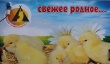 На белоярской птицефабрике открыли уникальный цех