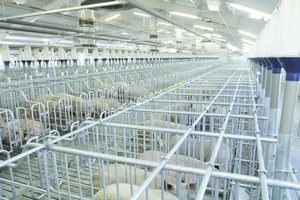 Строительство крупного свинокомплекса не затронет охранную зону курского заповедника