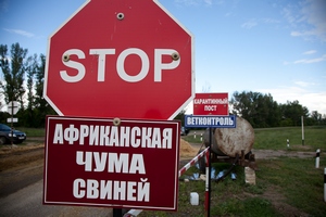 В Рязанской области установлено два новых карантина по африканской чуме свиней