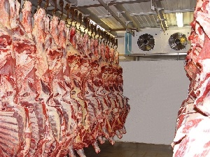 Минсельхоз республики: ЛНР договорилась о поставках мяса из России Минсельхоз республики: ЛНР договорилась о поставках мяса из России