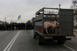 Украинские аграрии перекрыли дороги в 5 областях, протестуя против отмены спецрежима НДС 
