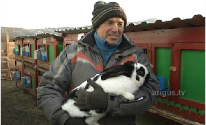 Фермер из Бурятии мечтает вывести бурятскую породу кроликов