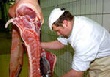 Мировое производство мяса увеличится Мировое производство мяса увеличится