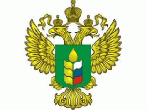 Минсельхоз заявил о начале поставок животноводческой продукции в КНР в 2018 году