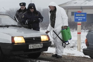 В Орле из-за вспышки АЧС выставили полицейские посты