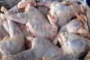 Производство мяса птицы в России выросло на 17,2%