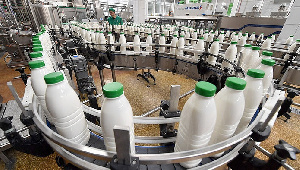 Роскачество предложило изменить нормы по антибиотикам в молоке и мясе