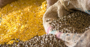 Производители мяса могут столкнуться с дефицитом кормовых добавок