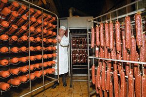 На Курском мясоперерабатывающем заводе совершенствуются лабораторные исследования мяса