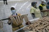 Россельхознадзор края тоже не обнаружил в сосисках ФГУП "Кубанское" возбудитель вируса АЧС