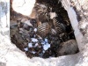 На омских агропредприятиях неправильно захоранивают животных