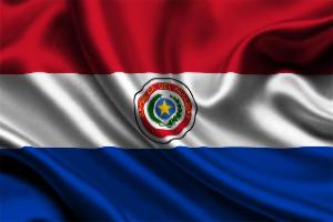 Парагвай обнаружил мошенническую схему при поставках говядины в РФ