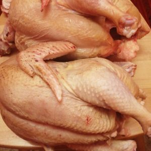 Дагестанская птицефабрика планирует нарастить показатели производства мяса птицы с 5 тыс. тонн до 15 тыс. в год