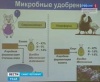 Аграриям Ленобласти предлагают всерьёз заняться переработкой навоза и помёта