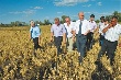 Хорошо, но мало. Николай Меркушкин оценил работу аграрного комплекса Большечерниговского района