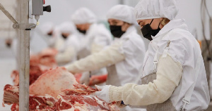 АИК «Агрико» запустила мясокомбинат в Ставропольском крае