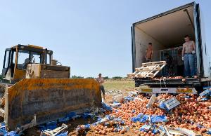 В России с 2014 года выявили почти три тысячи тонн санкционных продуктов