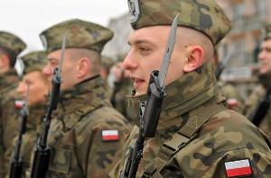 Правительство Польши не исключает использования армии для отстрела кабанов