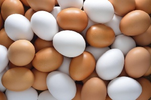 Производство яиц в Грузии увеличилось на 8,9%