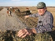 В Белгороде продукцией местных фермеров будут торговать через интернет-магазины