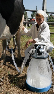 Модный способ не замечать санкции. В Екатеринбурге рестораны переходят на натуральное хозяйство.