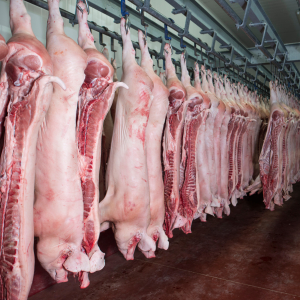 Россия в этом году почти на 8% увеличит производство свинины