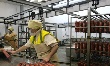 Антимонопольщики обсудят проблемы рынка мясной продукции