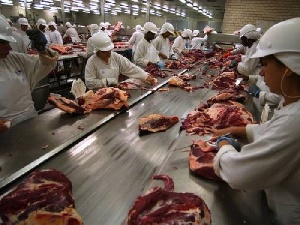 В Нарынской области Кыргызстана планируют построить три мясоперерабатывающих завода В Нарынской области Кыргызстана планируют построить три мясоперерабатывающих завода