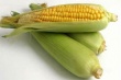 Россияне выступают против производства продуктов с ГМО — результаты опроса