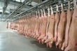 Соседям предложили свинью. Украинские бизнесмены намерены создать в России вертикально-интегрированный холдинг