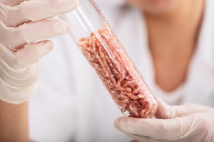 Станет ли искусственное мясо популярным в России