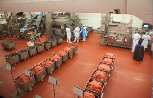 Алтайские мясопереработчики надеются получить компенсации на закупку сырья
