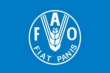 FAO: мировые цены на еду выросли в апреле