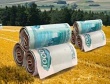 Минсельхоз не исключает сворачивания программы льготного кредитования АПК