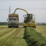 В Тверской области ведется заготовка кормов