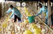 Птичий грипп обнаружен в центре Израиля