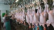 Китай и Россия третируют американскую курицу (Bloomberg Businessweek, США)
