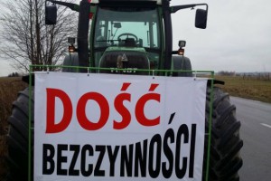 АЧС шагнула в новый регион Польши