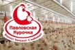 Павловская птицефабрика остановила производство халяльной колбасы из-за свинины в морозилке