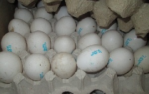 Крупную партию куриных яиц из Украины везли в Крым в прицепе для перевозки скота