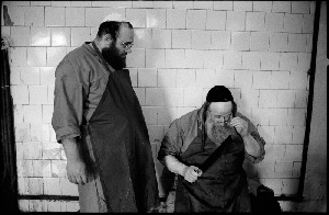 В Нижней Австрии предложили зарегистрировать всех потребителей кошерного мяса