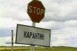 В Ростовской области введен карантин по бруцеллезу