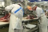 Чума подложила "Медведовскому мясокомбинату" свинью