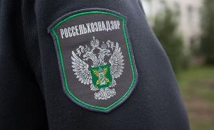 В Псковской области уничтожили около 1,2 тонны говядины и субпродуктов